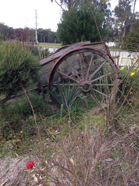 Snowy River Lodge Motel Orbost Buitenkant foto